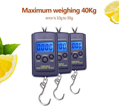 VGEBY Digit Fishing Scale, Weiheng WH-A01L Portable Plastic Electric Digital Hanging Scale with Hook Tool, 40kg*10g