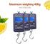 VGEBY Digit Fishing Scale, Weiheng WH-A01L Portable Plastic Electric Digital Hanging Scale with Hook Tool, 40kg*10g