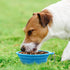 Rest-Eazzzy 2-Pack Silicone Collapsible Dog Bowls | BPA Free Portable Travel Bowl for Dogs and Cats (Green, Blue)