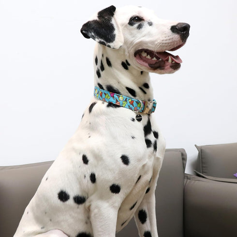 Ice Cream Summer Cotton Dog Collar, Metal Buckle Gift for Small Medium Large Girls or Boys Dogs, Cute Comfortable
