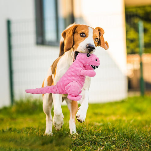 8.66 3.93 Andiker Dog Squeaky Toys, in Plush Dogs Toy Soft Dogs Chew Toys in Dinosaur Shape for Chewing Biting Stuffed