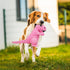 8.66 3.93 Andiker Dog Squeaky Toys, in Plush Dogs Toy Soft Dogs Chew Toys in Dinosaur Shape for Chewing Biting Stuffed