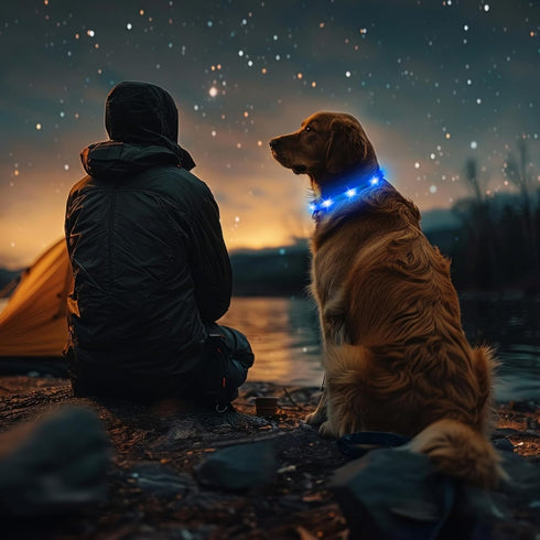 HIGO Light Up Dog Collar, Lightweight LED Necklace for Dogs, USB Rechargeable, Blue-Silicone