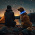 HIGO Light Up Dog Collar, Lightweight LED Necklace for Dogs, USB Rechargeable, Blue-Silicone