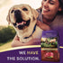 Zignature Venison Limited Ingredient Formula Dry Dog Food - 4lb