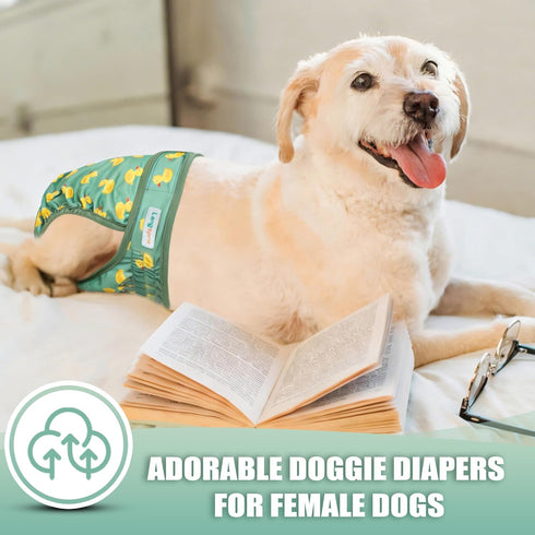 5 Pack, Langsprit Female Dog Diapers for Doggie Puppy,Reusable Dog Period Diapers Female for Heat Peeing,Small Medium