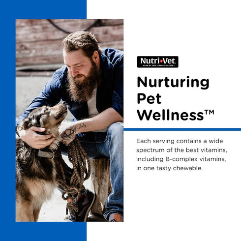 Immune 180 Count Nutri-Vet Multi-Vite Chewables for Adult Dogs, Daily Multivitamin & Mineral Supplement for Overall