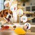 Mity Rain Interactive Dog Toys, Remote Control Dog Toy with Feather Tail, Funny for Small Medium Dogs
