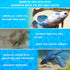 SunGrow 50 Pcs Mini Catappa Indian Almond Leaves for Betta Fish Aquarium, Improves Habitat and Lowers pH