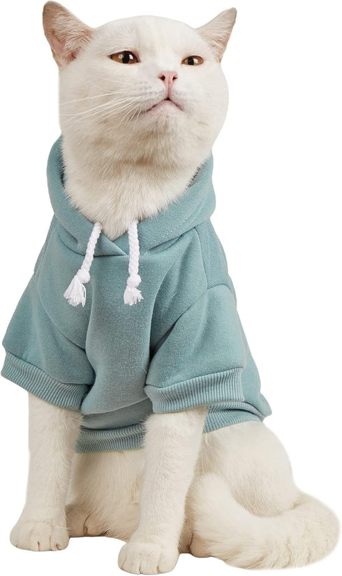 QWINEE Basic Dog Hoodie - Warm Jacket for Dogs, Cat Apparel, Dog Shirt for Small Medium Dogs (Cadet Blue, S)