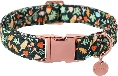 Daisy Fall Cotton Dog Collar with Metal Buckle, Autumn Gift Collar for Small Medium Large Dogs, Cute Durable
