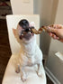(12 Pack) 6 Inch hotspot pets Curly Spring Bully Sticks for Dogs - Premium All Natural Long Twisted Beef Pizzle Dog