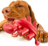 Interactive Dog Chew Toys for Aggressive Chewers, Indestructible Dog Toys for Medium/Large Dogs, Great Gift for Pets
