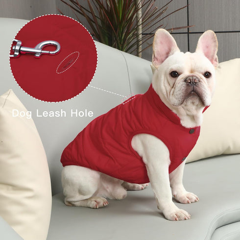 2 Layers Fleece Lined Warm Dog Jacket - Soft Windproof Medium Dog Coat for Winter (Red XL)