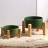 Petygooing Rust Green Elevated Ceramic Dog Bowl for Small Breeds, Anti-Slip Rubber Stand, 13.5 OZ (5.1 In / 1.7 Cups)