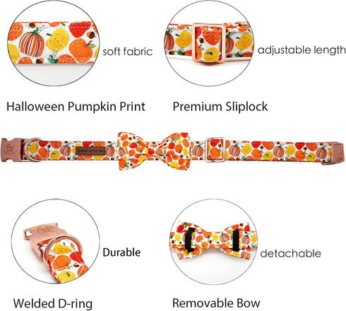 Elegant Little Tail Dog Collar with Bow - Fall Halloween Pumpkin Bow for X-Small Puppies