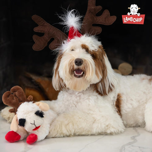 Multipet Easter Bunny Ears Lamb Chop Dog Toy - 11"