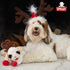 Multipet Easter Bunny Ears Lamb Chop Dog Toy - 11"
