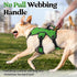 rabbitgoo Escape Proof Dog Harness, Reflective No Pull Vest, Soft Padded, Adjustable, Large, Green