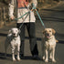 HOWGO Double Dog Leash, No Tangle Dual Dog Leash, Adjustable Dual Padded Handles, Orange, Multiple Leash for 2 Dogs