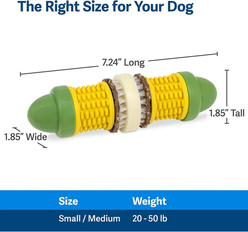 PetSafe Busy Buddy Cravin’ Corncob Dog Toy, BPA Free Rubber Treat Ring Chew Toy for Small to Large Dogs