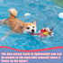 Chicken Dog Toys Soccer Ball with Straps, Interactive Tug of War Toy, Durable Water Toy for Dogs (8 Inch)