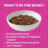 12.7oz 12) KOHA Minimal Ingredient Pork Stew for Dogs, High Protein Limited Ingredient Dog Food, Cans (Case