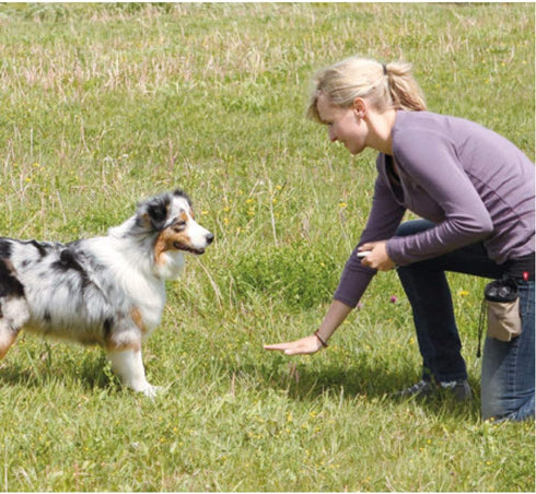 Winod Dog Training Clickers with Wrist Strap, 2 Pack (Black + New Blue)