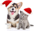 4 Pieces Dog Santa Hat Christmas Pet Hats - Costumes for Dogs and Cats Christmas Supplies