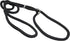 Dog Show Lead Braided Tubular Nylon 52" Long (Medium: diam 5/16"(8mm), Black)