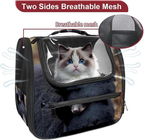 (1) Black Bears Mon Love Baby Transparent Pet Carrier for Travel Hiking for Kitty Small Dog