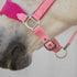 Equinavia Saga Fleece-Padded Breakaway Halter - Sweet Pink & Pink Flambe for Horses