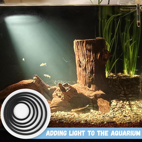 5 Pcs Aquarium Floating Plant Corral, Black Feeding Ring for Intercepts Floating Plants and Fish