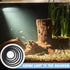5 Pcs Aquarium Floating Plant Corral, Black Feeding Ring for Intercepts Floating Plants and Fish