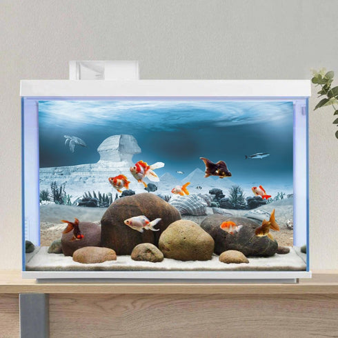 AWERT 60x24 inches Egyptian Pyramid Aquarium Background, Egypt and Sphinx Underwater World Vinyl.