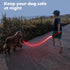 LED Dog Leash Light Up, 4 Feet Micro USB Rechargeable Nylon Webbing Glow Safety Standard Dog Leash by Bpawser (Red)