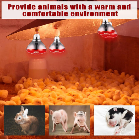 4 Pack 250watt 120v Bulbs E26 VIHOSE Infrared Heat Lamp for Chickens Thickened Red Heat Lamp for Food Service, Reptile