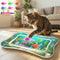Interactive Cat Toy for indoor Cats, Upgraded Cat Water Mat with Fish
