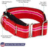 If It Barks Martingale Collar for Dogs, 1.5" Adjustable Nylon, Strong and Comfy, Made in USA, Medium
