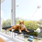 Cat Window Perch, Space Saving Cat Hammock with Powerful Screw Suction Cups, Sturdy Bed for Cats
