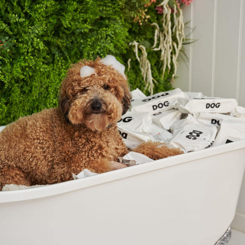 DOG by Dr Lisa Plant-Based Bathing Wipes for Dogs, 100% Compostable Bamboo, Vet-Created, Vegan, Non-Toxic, 240 Count