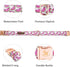 Elegant little tail Dog Collar, Watermelon Print Pet Collar Summer Dog Collar Pet Collar Dog Cotton Durable Dog Collar Metal Buckle Collar for Large Dogs