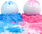 Winsharp Gender Reveal Golf Balls (2 Pack or 4 Pack)