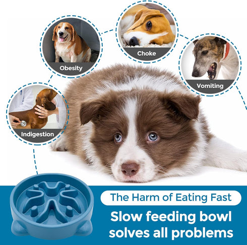 2 Pack Non-Slip Slow Feeder Dog Bowls, Durable Puzzle Feeder for Puppy and Small Dogs, 1 Cup, BPA Free