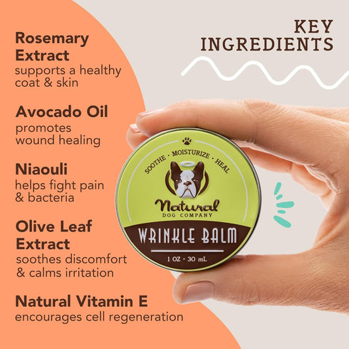Natural Dog Company Wrinkle Balm, 1 oz. Tin, Dog lotion for dry itchy skin, Cleans Wrinkles, Yeast Infection treatment for dogs, Plant based, Frenchie Dog Accessories, Made in USA