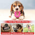 Hurray 3 Pack Puppy Teething Chew Toys, Small Dog Toys for Itching Relief and Teeth Cleaning, Up to 15 lbs