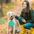 Portable Collapsible Dog Bowl - Food Grade Silicone, Large Capacity, Easy to Wash, Ideal for Outdoor Camping (Green)