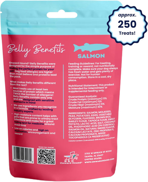 Training Treats for Dogs -Soft Salmon - Low Calorie Dog Training Treats for Sensitive Stomachs with Single Source Premium Protein, Corn Free, & Soy Free Formula - 10 oz