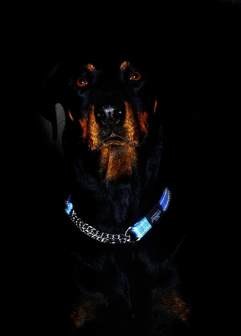 Reflective Nylon Choke Collar, Black, Slip Show Obedience Training Gentle Choker for Extra Large Dogs