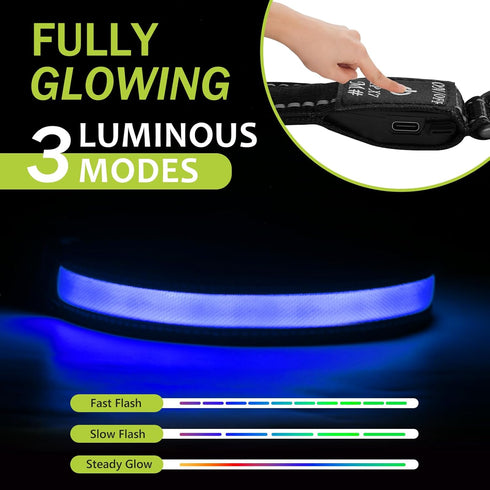 Led Glowing Dog Collars, Lighted Dog Collars for Night, Dog Glow Collar Rechargeable, Light Up Dog Collar for Small Dogs (Blue, Pack of 1, S)